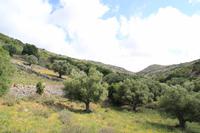 Kreta - unterwegs