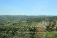 Kreta -Hochebene