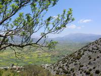 Lassithi-Ebene