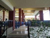 Olivenfarm in Peza