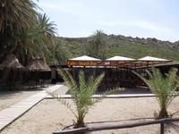 Palmenstrand Vai