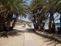 Palmenstrand Vai