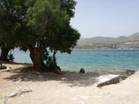 Tag 7: Insel Spinalonga