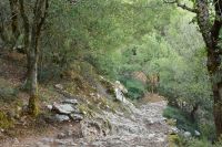 Wanderweg zur Zeus-Höhle auf der Lasithi-Hochebene