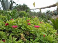 Rhodos - Therme von Kallithea