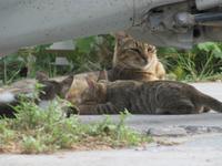 Rhodos - Faliraki :-)