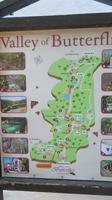 Schmetterlingstal