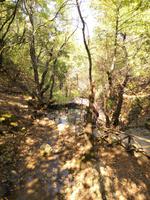 Im Schmetterlingstal