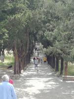 Kreuzweg auf dem Filerimos-Berg