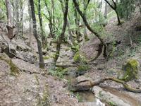 Im Schmetterlingstal