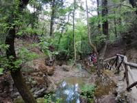 Im Schmetterlingstal