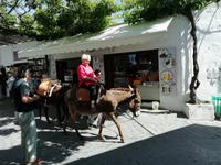 Auf dem Esel durch Lindos