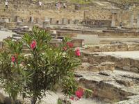 Ruinen der Stadt Kamiros