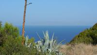 Blick vom Monte Smith