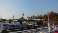 Blick vom Schiff