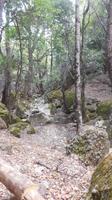 Im Schmetterlingstal
