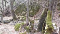 Im Schmetterlingstal