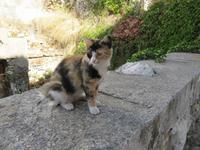 Rhodos - Insel Simy