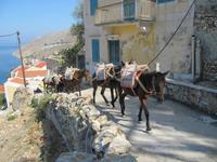 Rhodos - Insel Simy