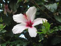Rhodos Westküste