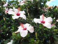 Rhodos Westküste