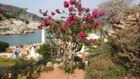 Thermen von Kallithea