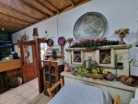 Insel Zypern - Mittagessen in der Taverne 