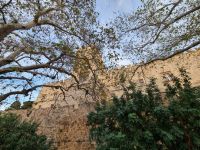 Insel Rhodos - Rhodos-Stadt (Großmeisterpalast)