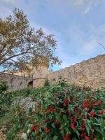 Insel Rhodos - Rhodos-Stadt (Großmeisterpalast)