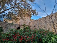 Insel Rhodos - Rhodos-Stadt (Großmeisterpalast)