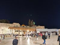 IMG 20221122 171951