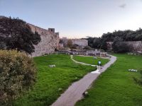 IMG 20221124 164529