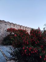 IMG 20221124 165556