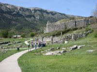  In Dodona