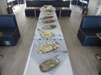  Meze