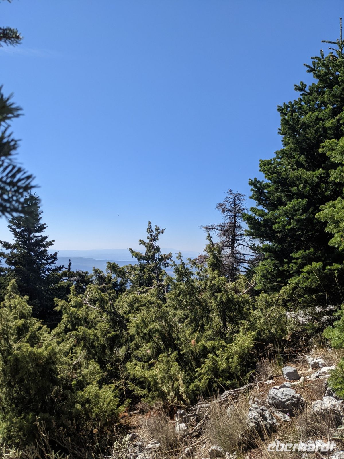 022 Dirfys Gebirge