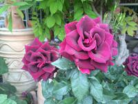 0491 Impressionen
