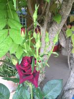 0492 Impressionen