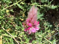 082 Impressionen