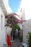 164. Chora von Naxos