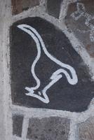 174. Känguruh in Naxos