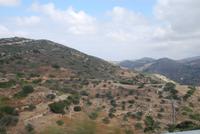 181. Landschaft auf Naxos