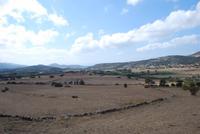 185. Fruchtbarer Tal auf Naxos