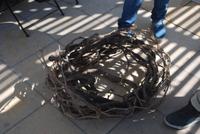 262. Geflochteter Rebstock