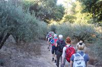 Wanderung von Agios Irini nach Archanes