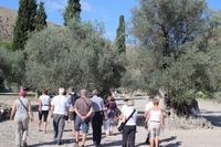 Reisegäste in Gortys