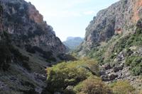 Panoramablick über die Schlucht