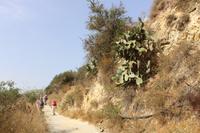 Wanderung in der Knosiano Schlucht