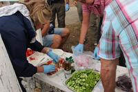 Vorbereitung des Picknicks