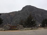 119 Xyloskalo
